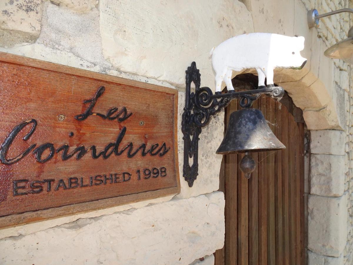 Les Coindries Villa Faye-la-Vineuse Eksteriør bilde